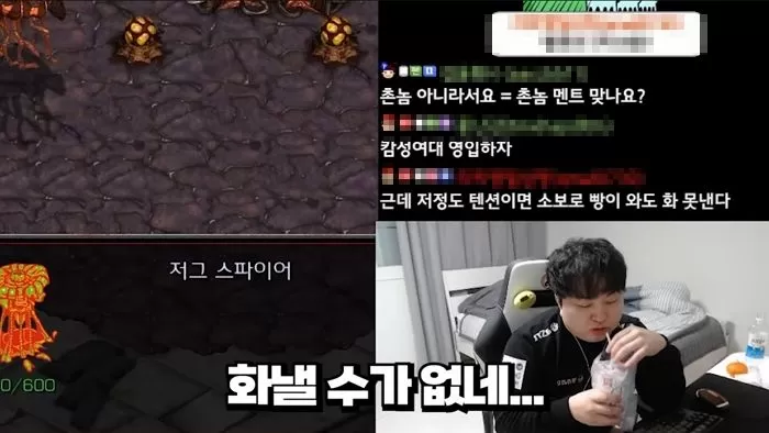 인사이트