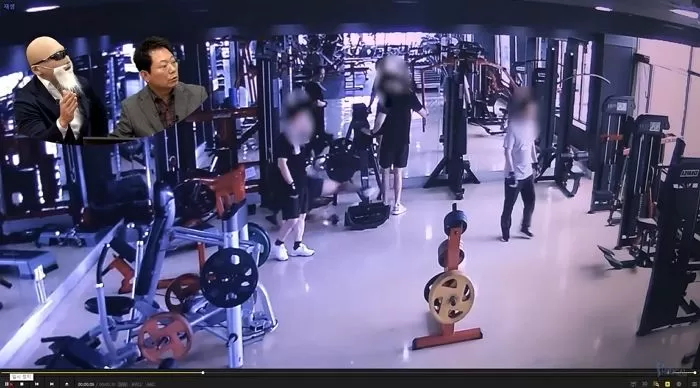인사이트