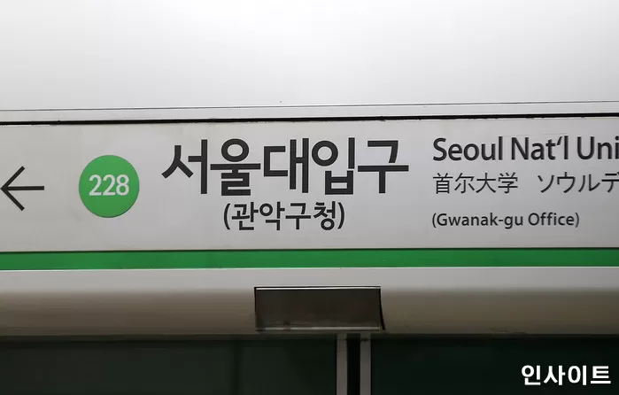 인사이트