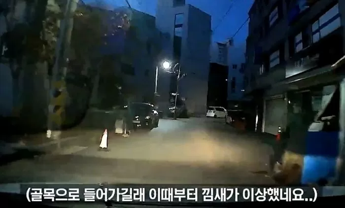 인사이트