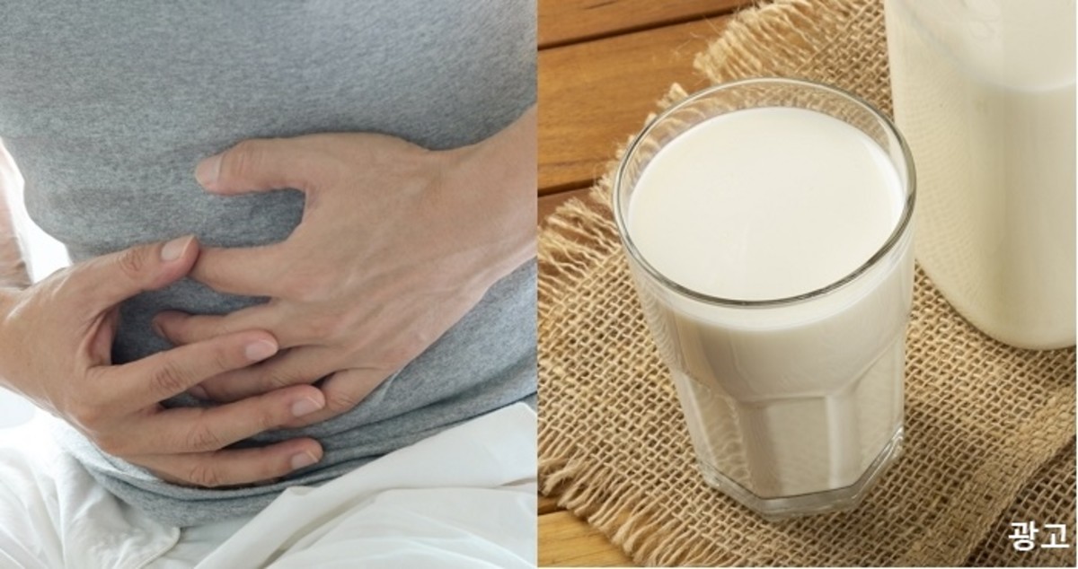 우유만 먹으면 배 아픈 당신, 유당불내증 아닌 ‘이것’ 때문이다