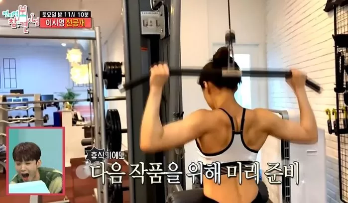 인사이트
