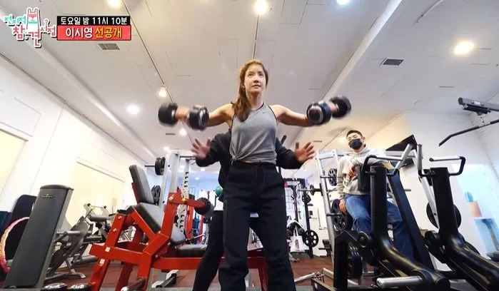 인사이트