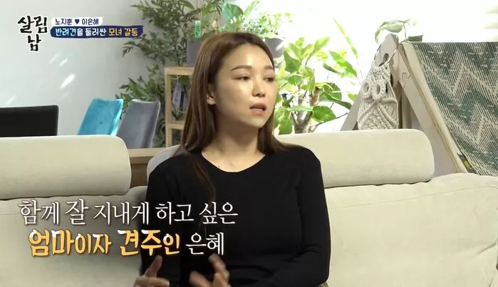 인사이트
