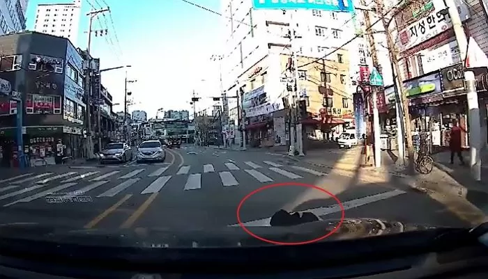 인사이트