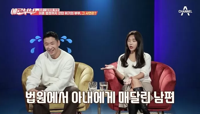 인사이트