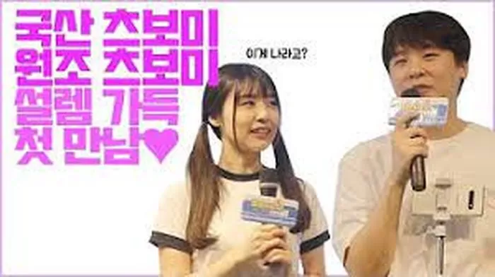 인사이트