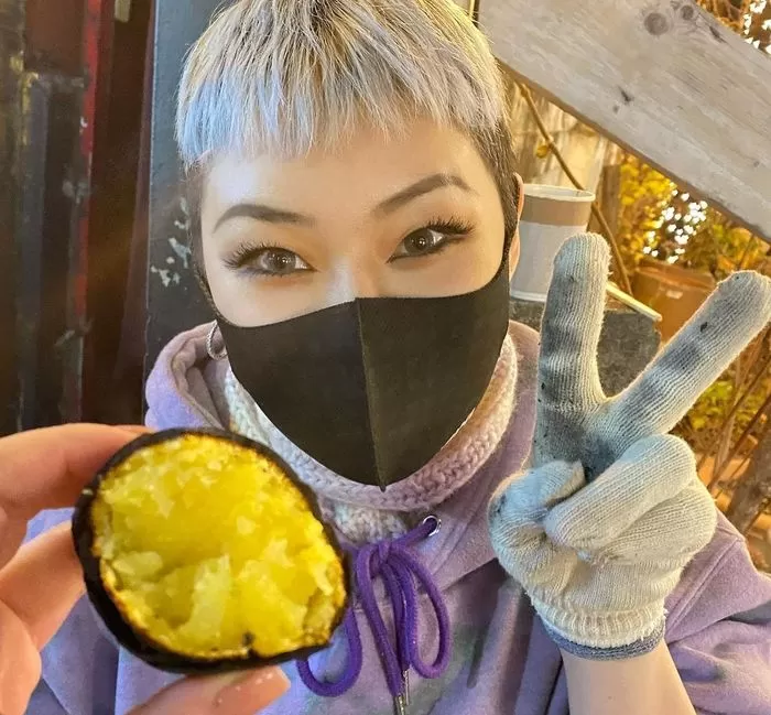 인사이트
