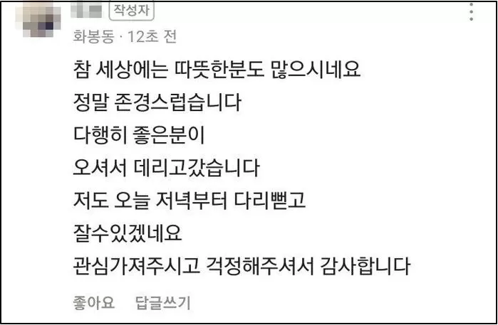 인사이트