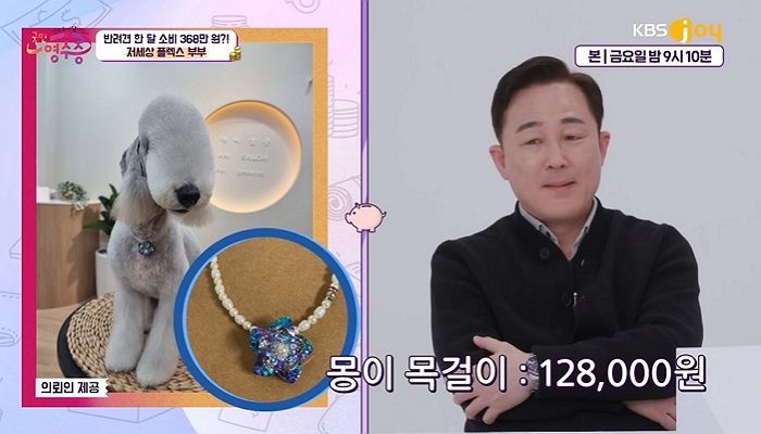 강아지한테만 한달 ‘360만원’ 플렉스하는 부부가 공개한 구매 내역 수준