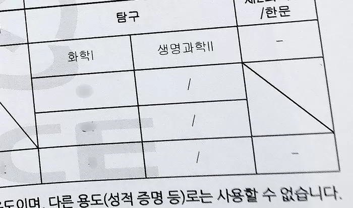인사이트