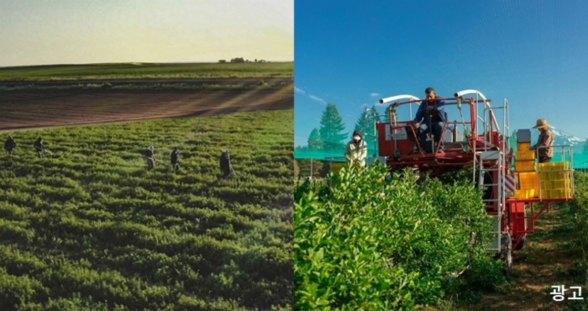 “코로나로 건강 관리 급증”...‘먹는 것’에 진심인 한국인이 꼭 따지고 산다는 ‘이것’