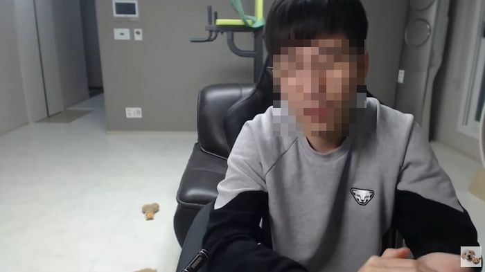 구조해 2년간 키우던 고양이 4남매가 댕댕이 괴롭혀 ‘파양’ 결정한 동물 유튜버