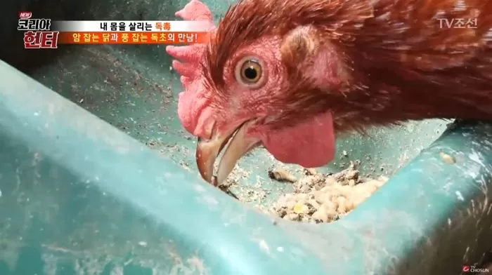 인사이트