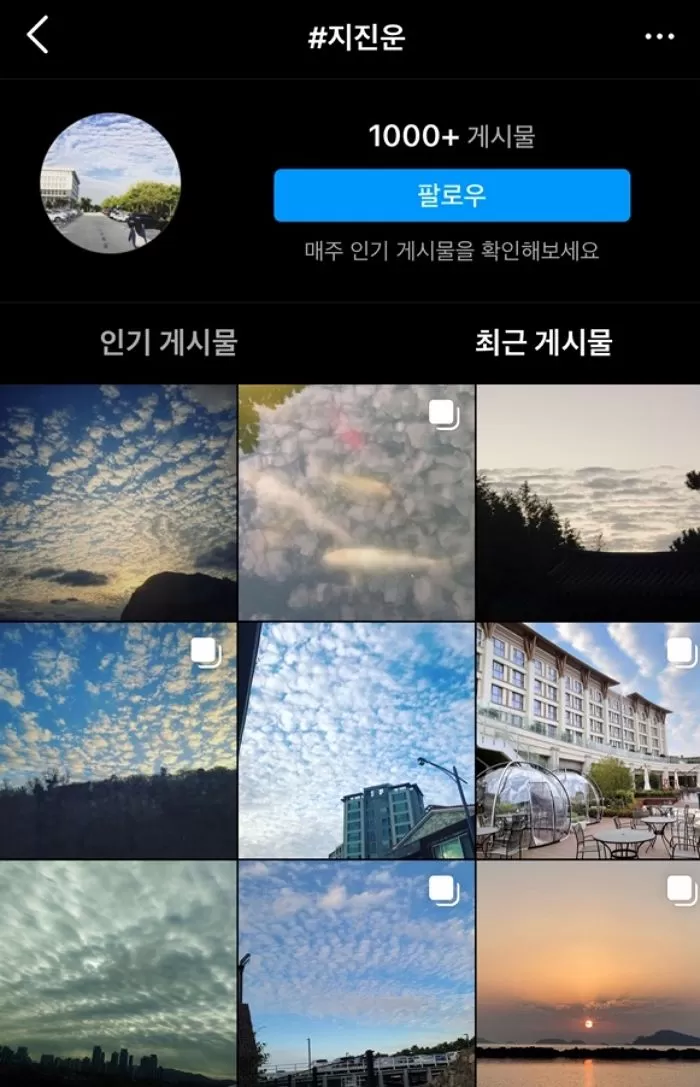 인사이트