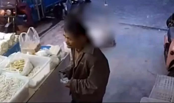 인사이트