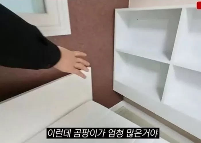 인사이트