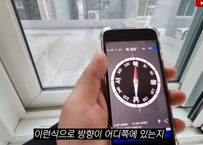 인사이트