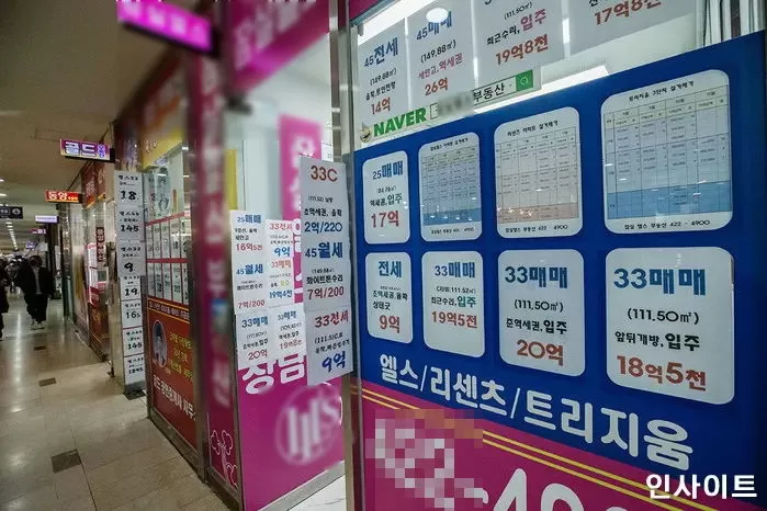 인사이트