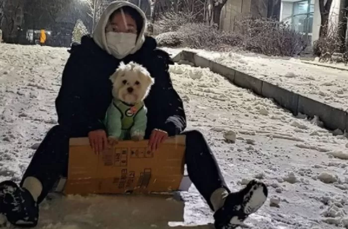 인사이트