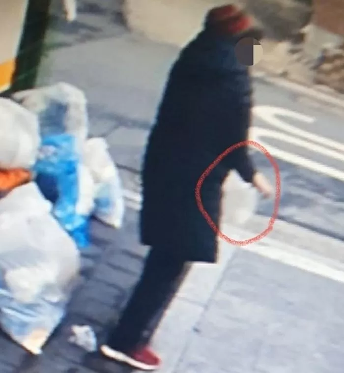 인사이트