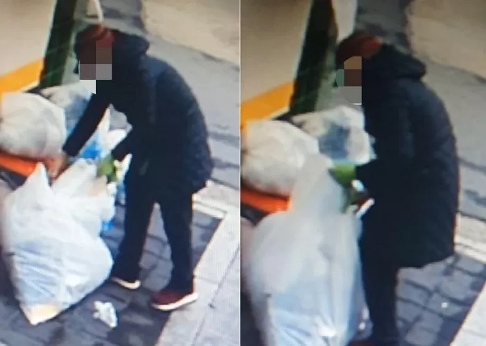 남이 버린 ‘종량제봉투’에서 쓰레기만 쏙 빼고 ‘종량제봉투’ 훔쳐가는 여성
