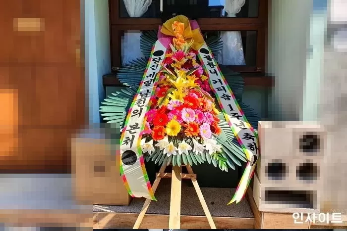 인사이트