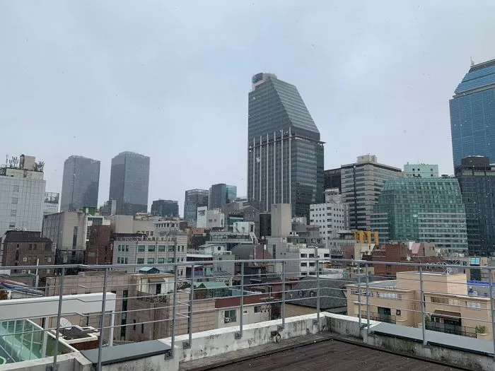 인사이트
