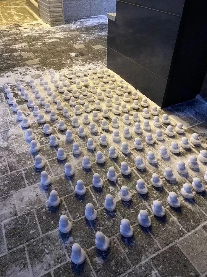 인사이트