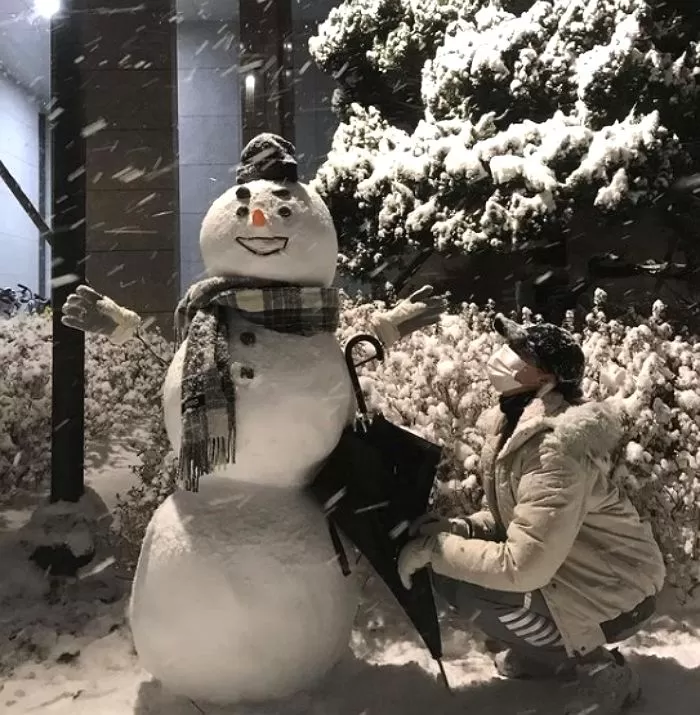 인사이트