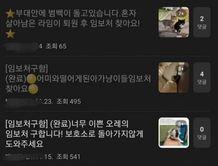 인사이트