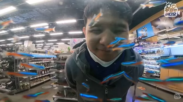 인사이트