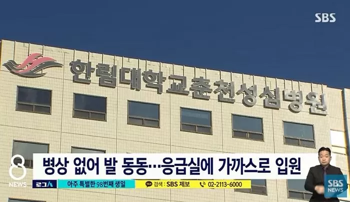 인사이트