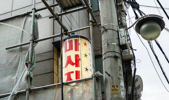 인사이트