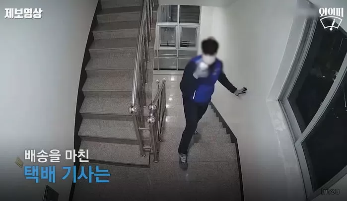 인사이트
