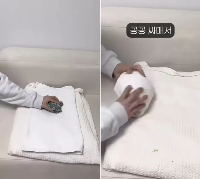 인사이트