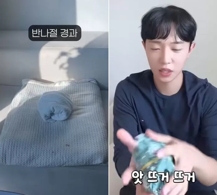 인사이트