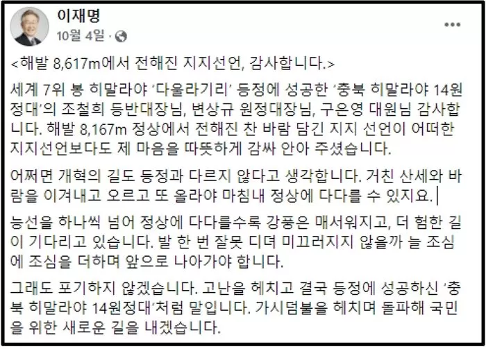 인사이트