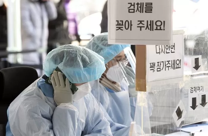 인사이트