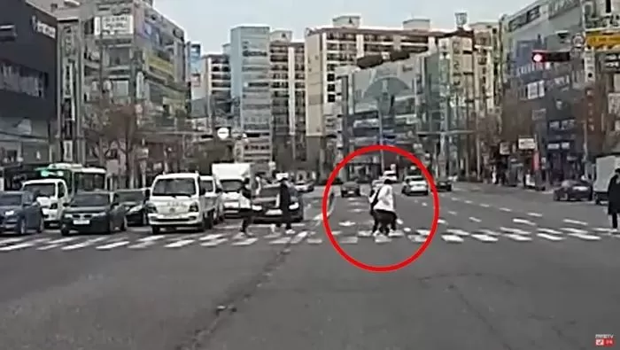 인사이트