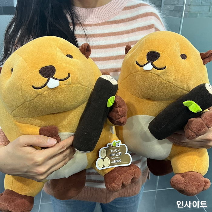 ‘멍충미’ 넘치는 비주얼로 인기 폭발 중인 다이소 5천원짜리 ‘비버인형’