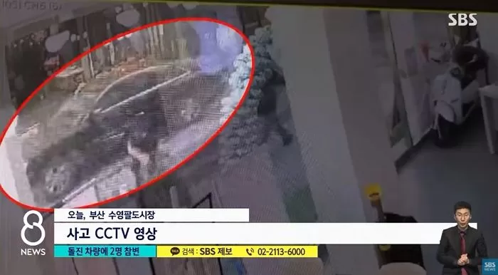 인사이트