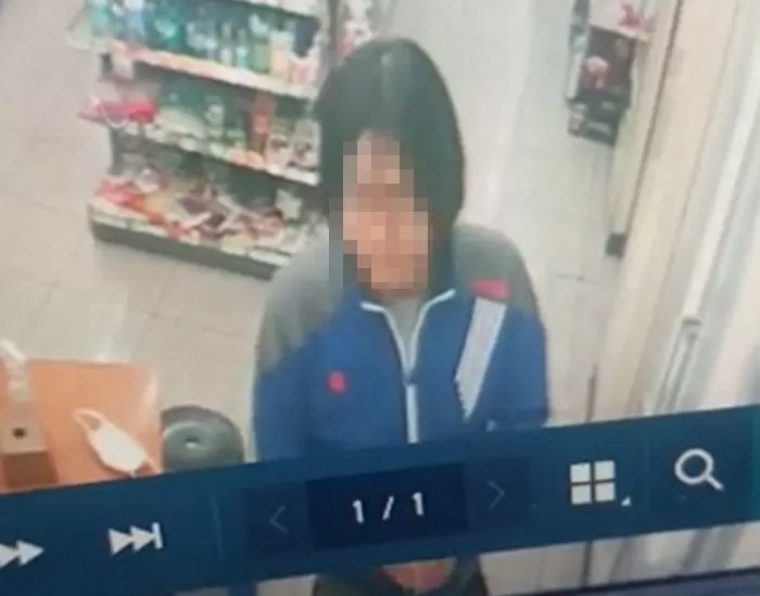 인사이트