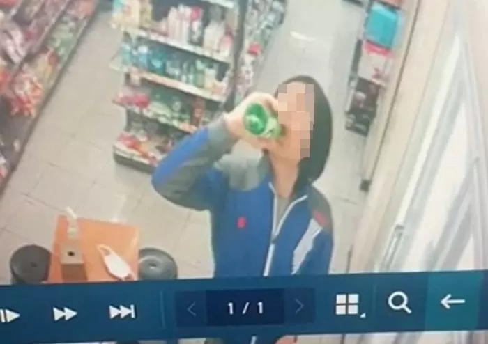 인사이트