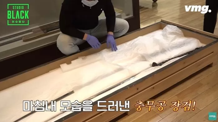 인사이트