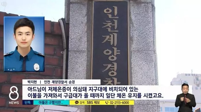 인사이트