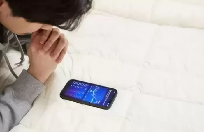 인사이트