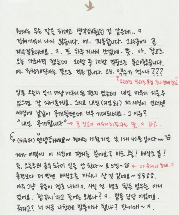 인사이트