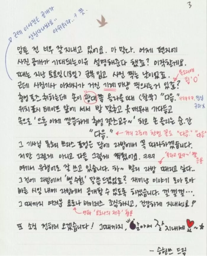 인사이트