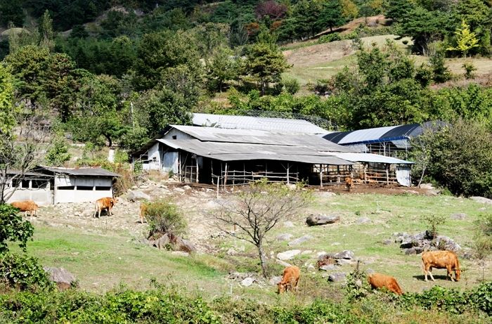 지적장애인에 34년간 ‘3400만원’만 주고 노동력 착취한 경남 하동 농장주